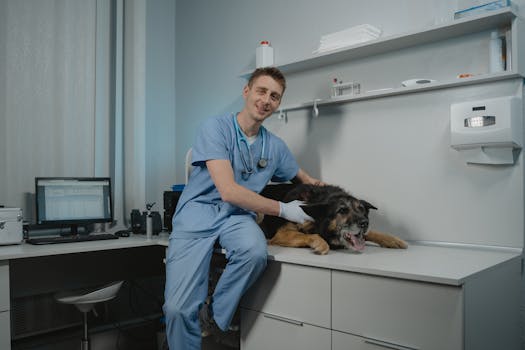 Veterinarian examining a black dog in a modern clinic setting. Professional care in a veterinary office.